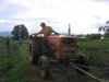 Dateiname=kartoffel 022.jpg
Dateigröße=1094KB
Abmessungen: 2592x1944
hinzugefügt am: 08. September 2006 kartoffel 022.jpg