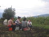Dateiname=kartoffel 045.jpg
Dateigröße=1124KB
Abmessungen: 2592x1944
hinzugefügt am: 08. September 2006 kartoffel 045.jpg