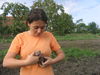 Dateiname=kartoffel 095.jpg
Dateigröße=1678KB
Abmessungen: 2592x1944
hinzugefügt am: 08. September 2006 kartoffel 095.jpg