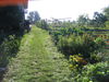 Dateiname=kartoffel 099.jpg
Dateigröße=2374KB
Abmessungen: 2592x1944
hinzugefügt am: 08. September 2006 kartoffel 099.jpg