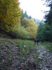 p1050250.jpg