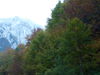 Dateiname=p1050263.jpg
Dateigröße=3406KB
Abmessungen: 2560x1920
hinzugefügt am: 12. Oktober 2009 p1050263.jpg