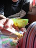 DSC02935_medium.JPG