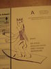 DSC02993_medium.JPG