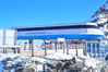 DSC_6412_medium.JPG