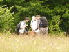 Dateiname=P1050901.JPG
Dateigröße=830KB
Abmessungen: 1280x960
hinzugefügt am: 11. Juli 2010 P1050901.JPG
