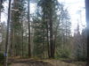 Dateiname=P1060307_JPG_small.jpg
Dateigröße=285KB
Abmessungen: 1024x768
hinzugefügt am: 01. Mai 2011 P1060307_JPG_small.jpg