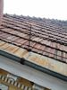 IMG_20121124_110016.jpg