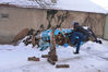 Dateiname=lwm-58.jpg
Dateigröße=1084KB
Abmessungen: 1280x853
hinzugefügt am: 03. Januar 2013 lwm-58.jpg