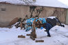 Dateiname=lwm-59.jpg
Dateigröße=1074KB
Abmessungen: 1280x853
hinzugefügt am: 03. Januar 2013 lwm-59.jpg