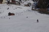 Dateiname=DSC_9081.JPG
Dateigröße=2481KB
Abmessungen: 3008x2000
hinzugefügt am: 26. Februar 2013 DSC_9081.JPG