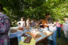 park-4222.jpg