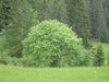 DSC00045.JPG