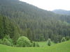 DSC00046.JPG