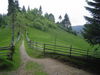 DSC00047.JPG