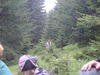DSC00052.JPG