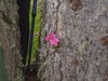 DSC00057.JPG