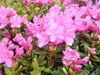 DSC00066.JPG