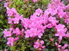 DSC00067.JPG
