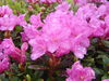 DSC00068.JPG