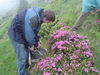 Dateiname=DSC00070.JPG
Dateigröße=1436KB
Abmessungen: 0x0
hinzugefügt am: 16. Juni 2005 DSC00070.JPG