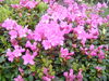 DSC00072.JPG