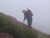 DSC00073.JPG