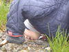 DSC00078.JPG