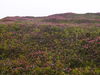 DSC00080.JPG