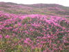 DSC00081.JPG