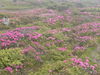 DSC00082.JPG