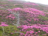DSC00084.JPG