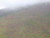 DSC00085.JPG
