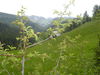 DSC00090.JPG