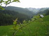 DSC00091.JPG