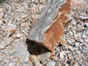 Dateiname=IMG_2031.jpg
Dateigröße=284KB
Abmessungen: 640x480
hinzugefügt am: 10. Oktober 2004 IMG_2031.jpg