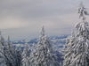 IMG_6306.jpg