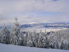 IMG_6307.jpg