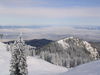 IMG_6309.jpg