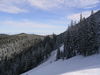 IMG_6311.jpg