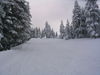 IMG_6315.jpg