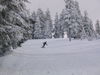IMG_6347.jpg