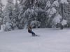 IMG_6356.jpg