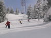 IMG_6371.jpg