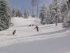 IMG_6375.jpg