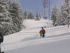 IMG_6379.jpg