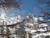 Dateiname=IM001933.jpg
Dateigröße=172KB
Abmessungen: 1600x1200
hinzugefügt am: 03. April 2006 IM001933.jpg