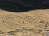 �tztal_Picki40_ 035.jpg