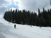 IMG_2884.JPG