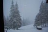 dsc_2990.jpg